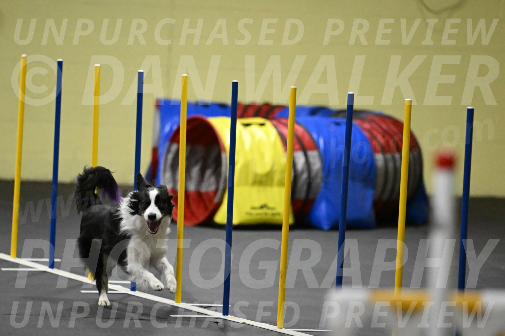 Annie-Solinger-02879