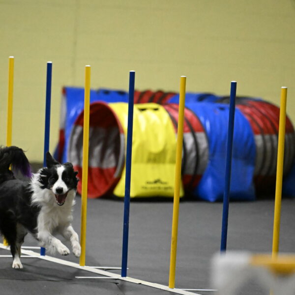 Annie-Solinger-02879