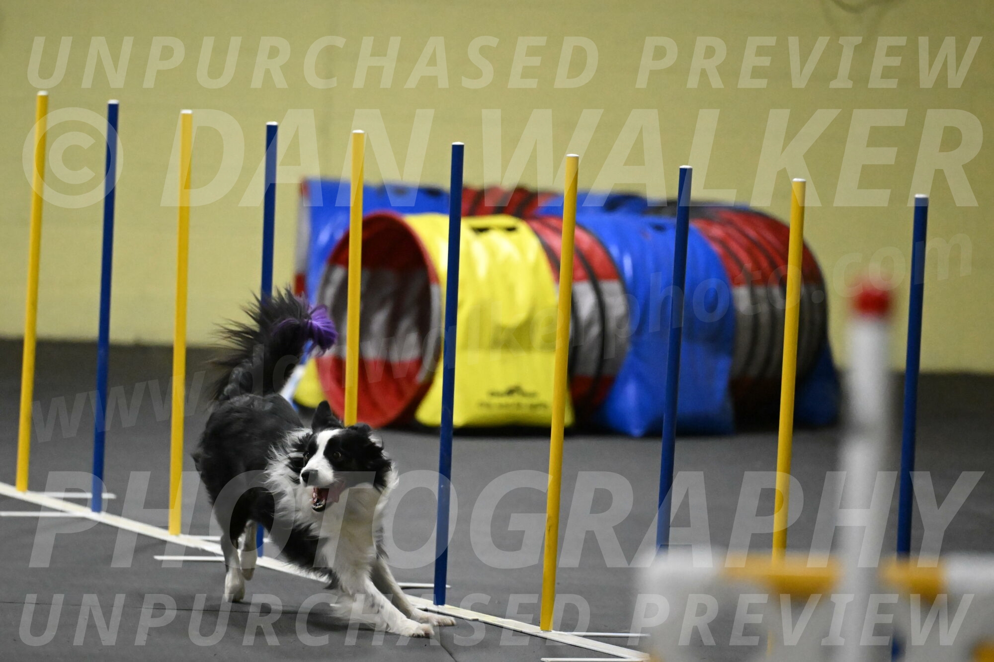 Annie-Solinger-02880