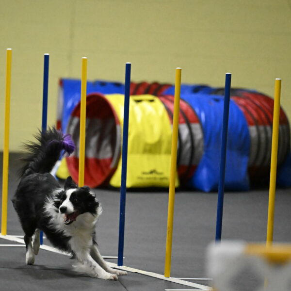 Annie-Solinger-02880