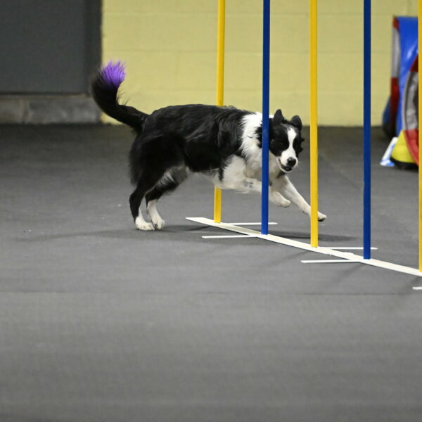 Annie-Solinger-02886