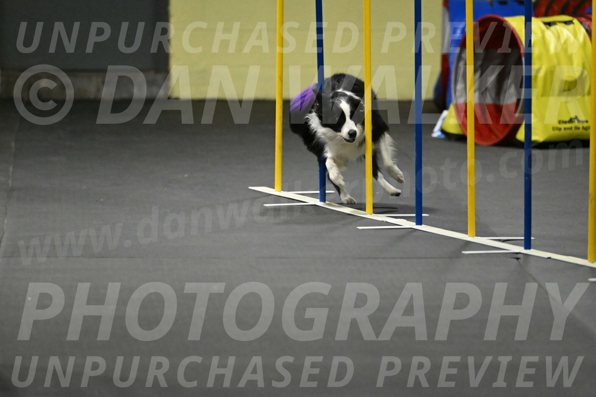 Annie-Solinger-02889