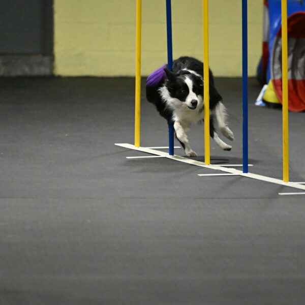 Annie-Solinger-02889