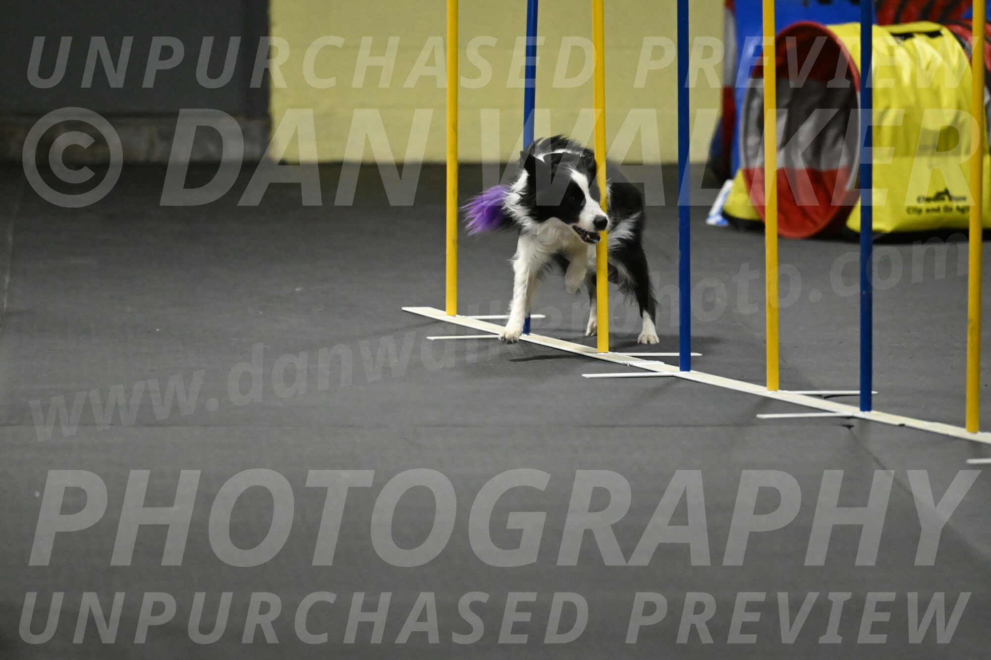 Annie-Solinger-02890