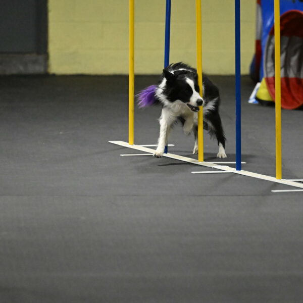 Annie-Solinger-02890