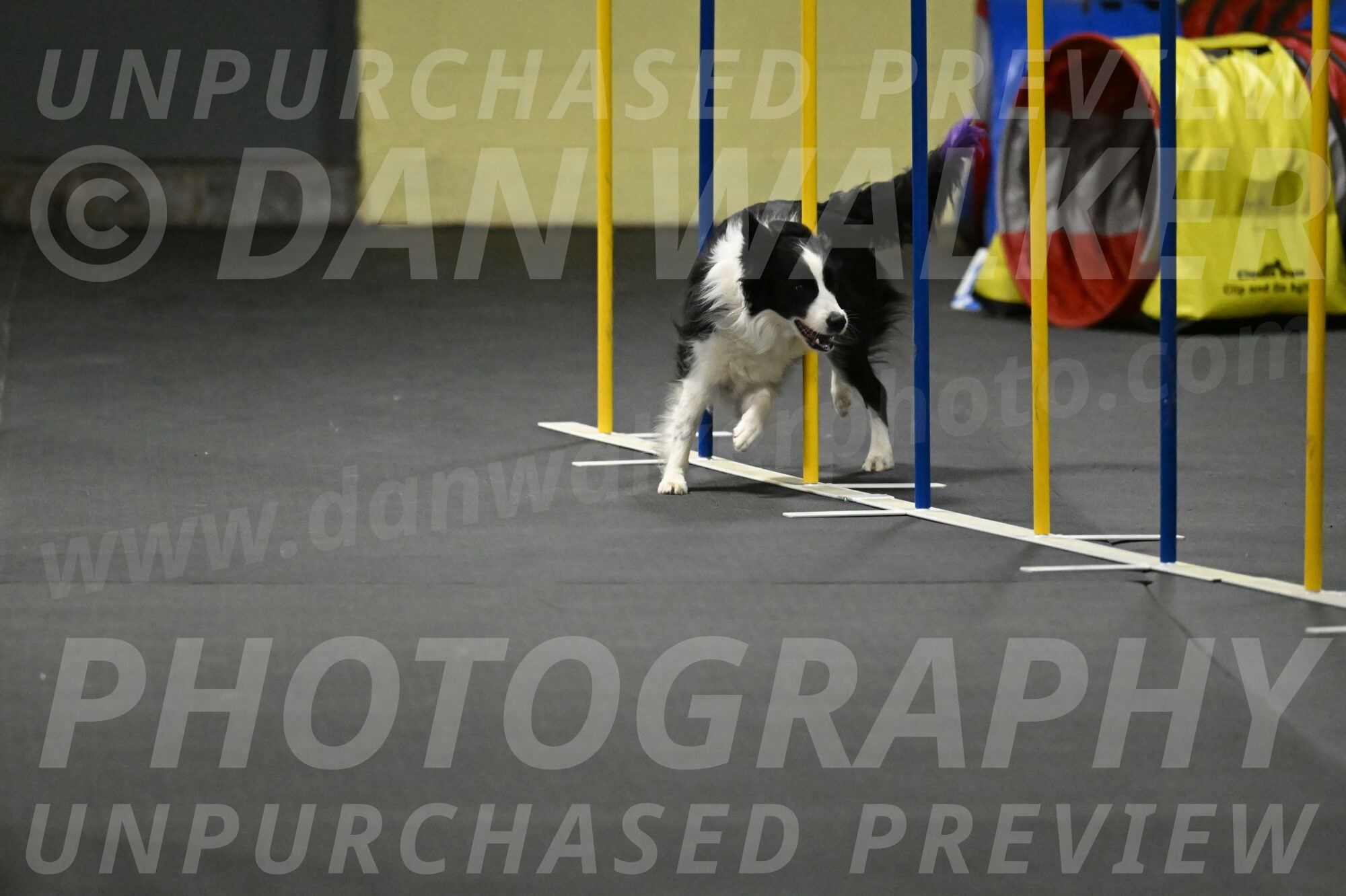 Annie-Solinger-02891