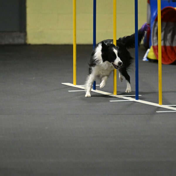 Annie-Solinger-02891