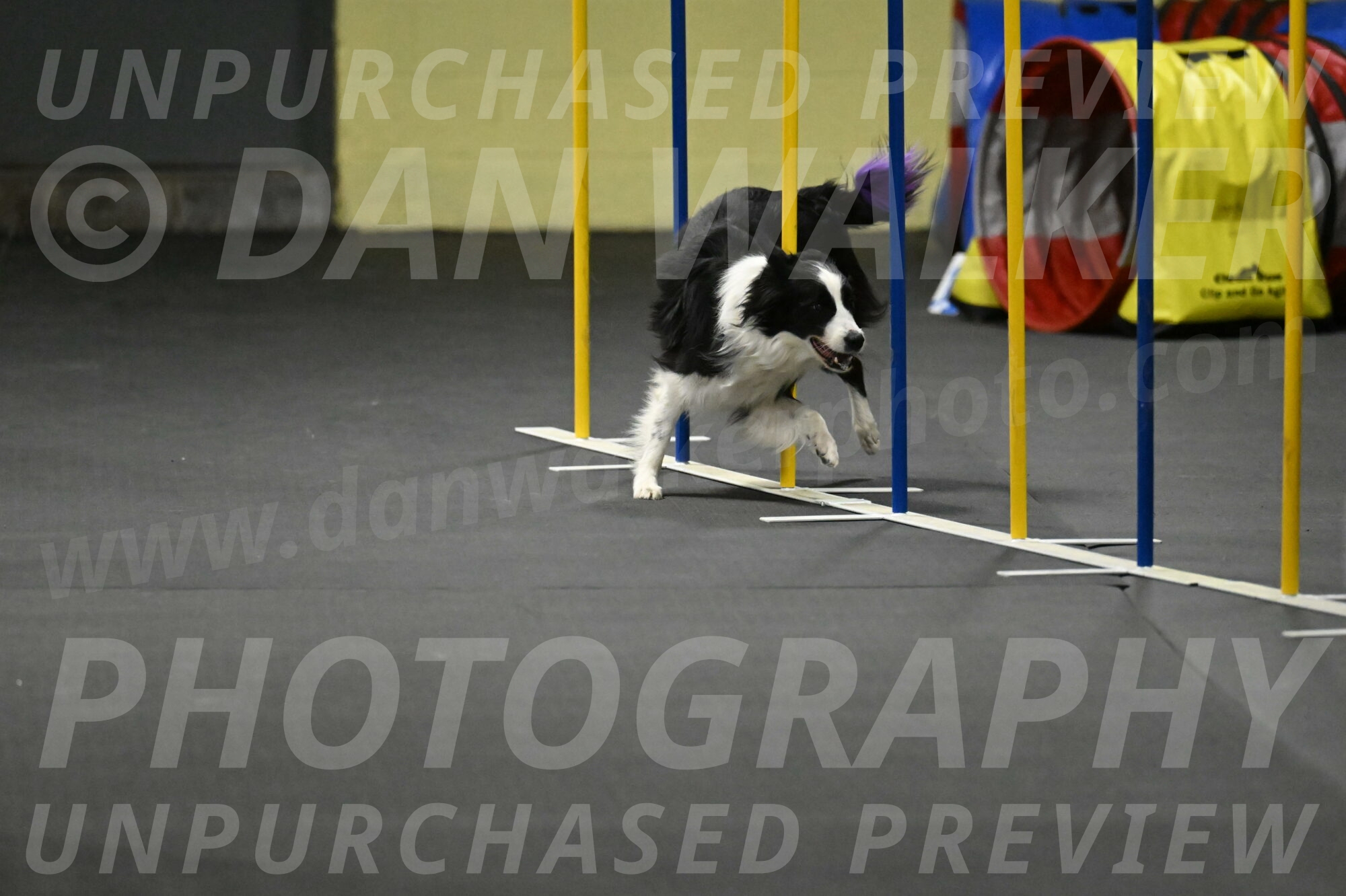 Annie-Solinger-02892