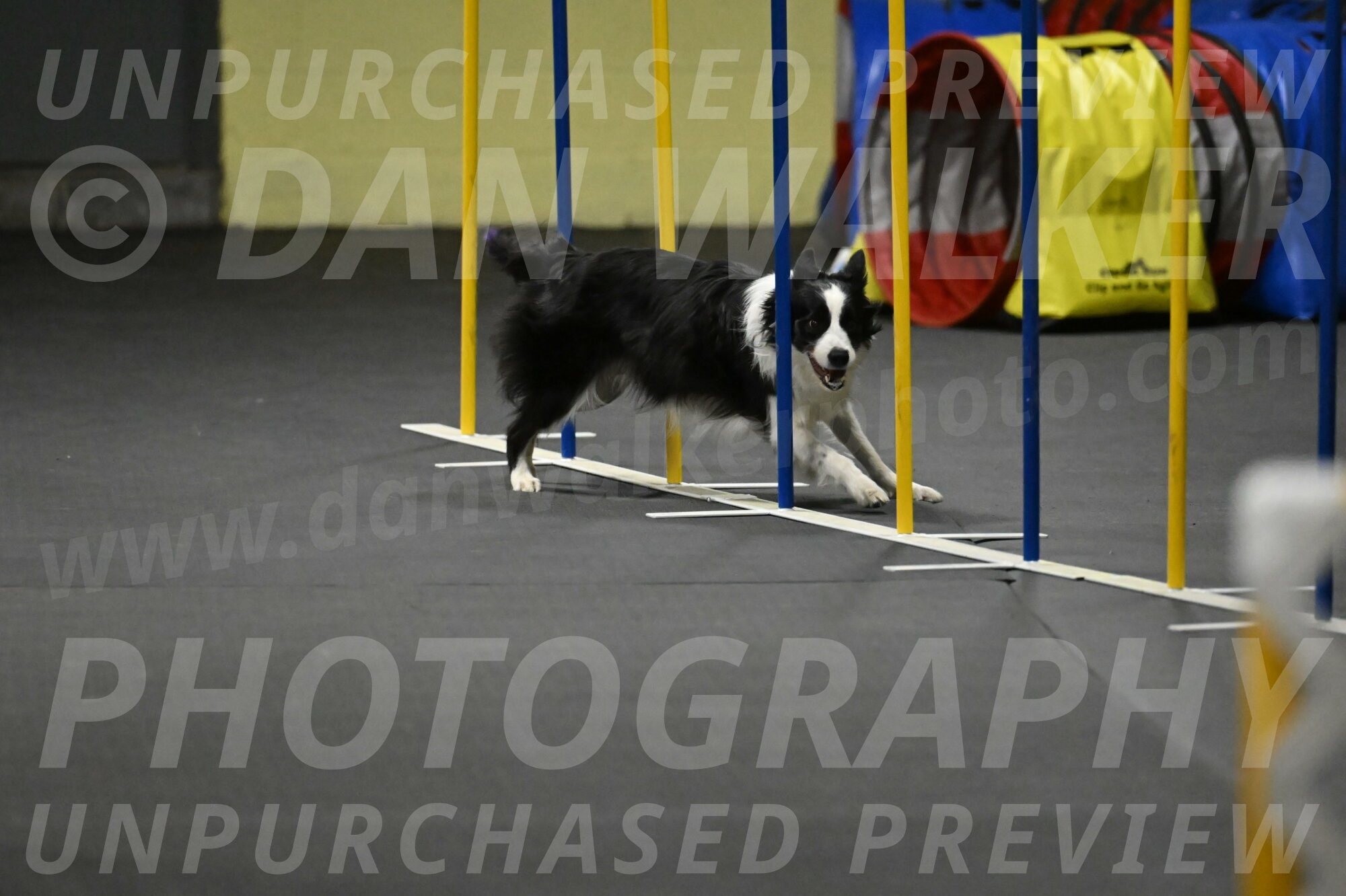 Annie-Solinger-02894