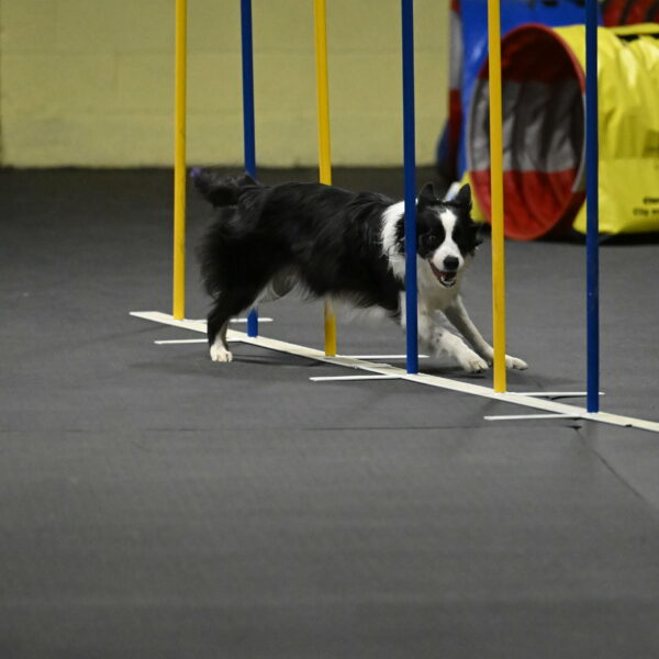 Annie-Solinger-02894