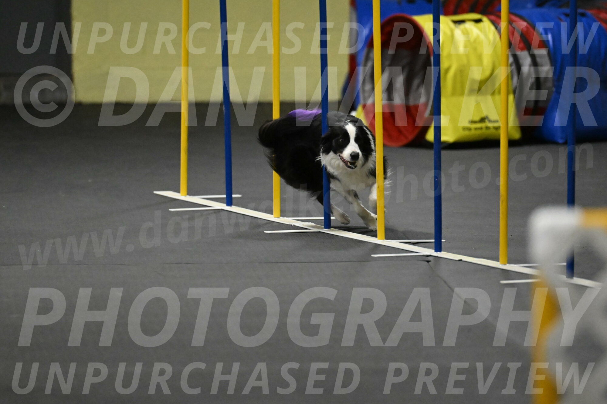 Annie-Solinger-02896