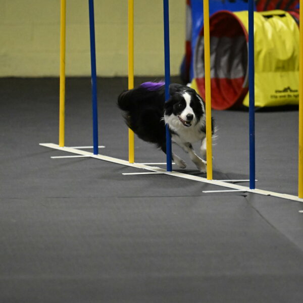 Annie-Solinger-02896