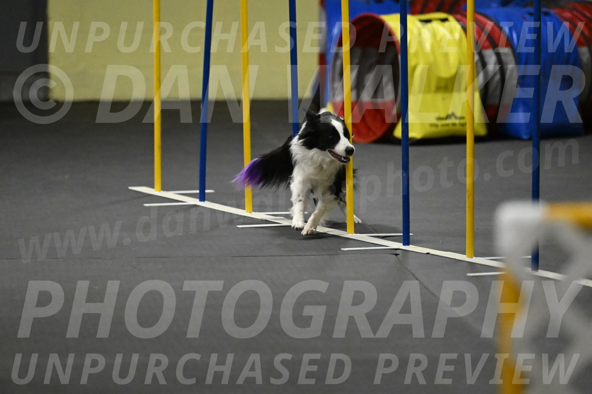 Annie-Solinger-02897