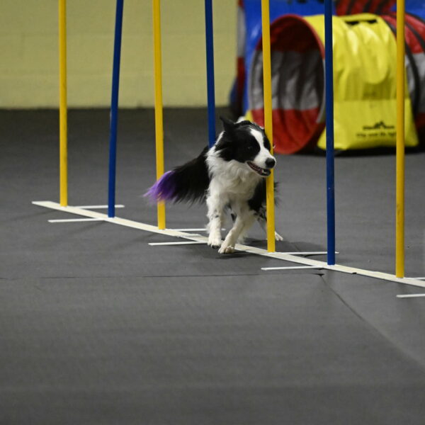 Annie-Solinger-02897