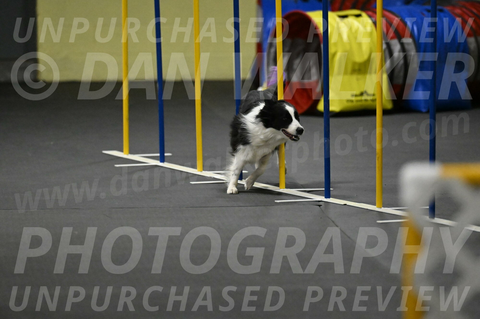 Annie-Solinger-02898