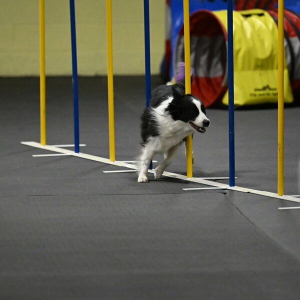 Annie-Solinger-02898