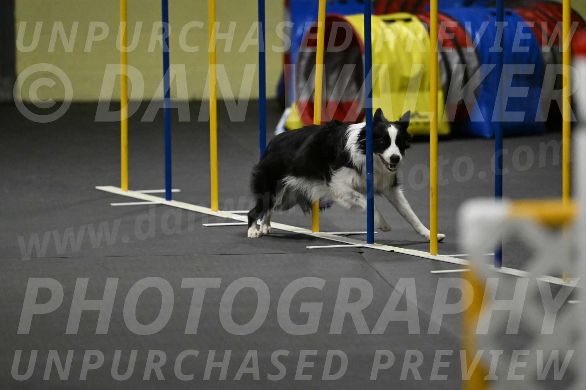 Annie-Solinger-02900