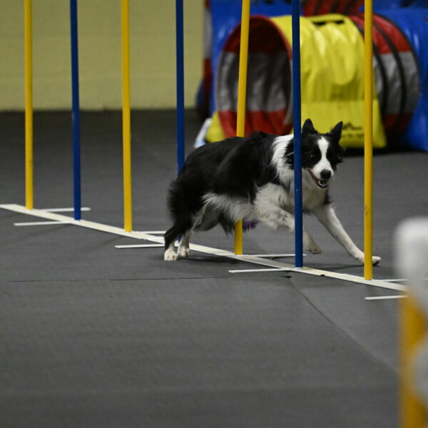 Annie-Solinger-02900