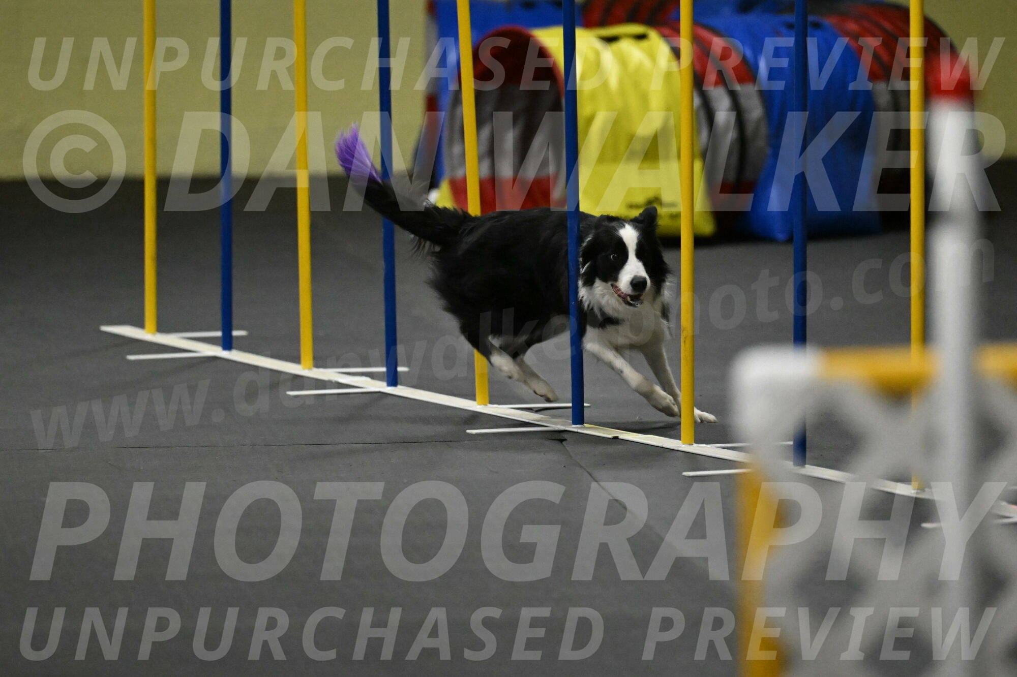 Annie-Solinger-02901