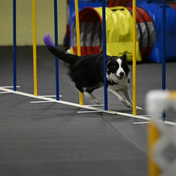 Annie-Solinger-02901