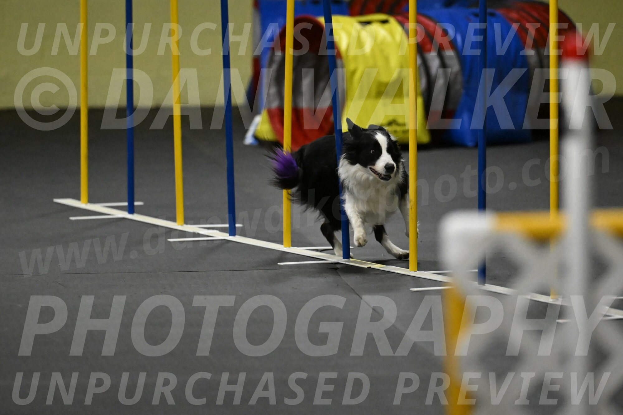 Annie-Solinger-02902