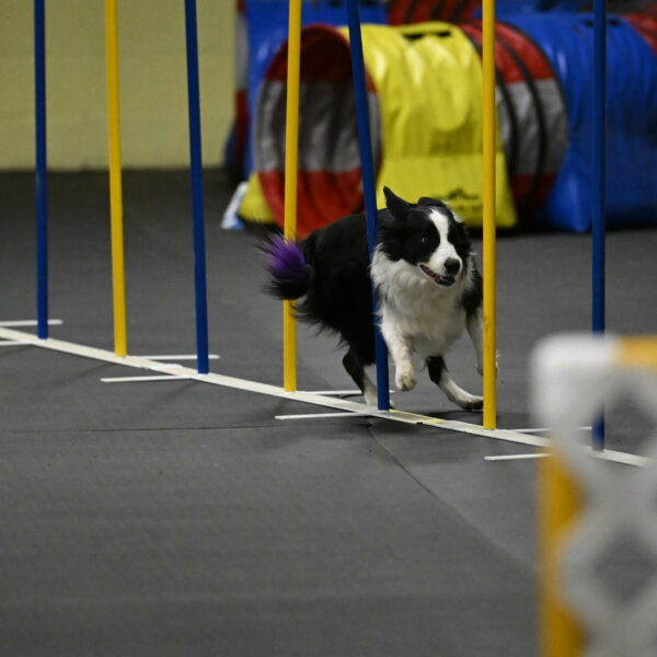 Annie-Solinger-02902