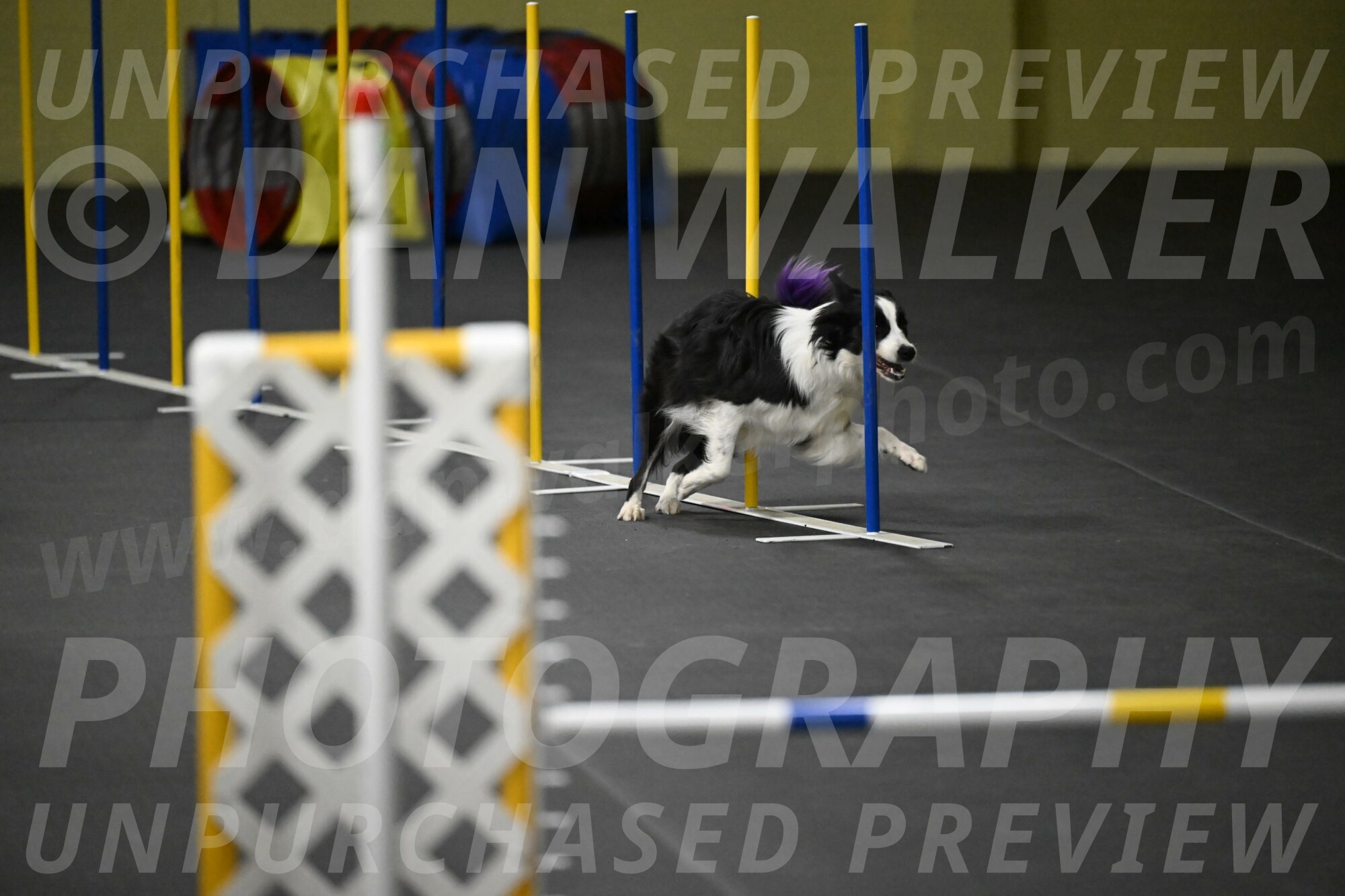 Annie-Solinger-02903