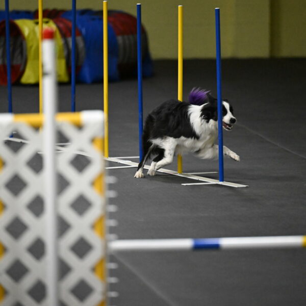 Annie-Solinger-02903