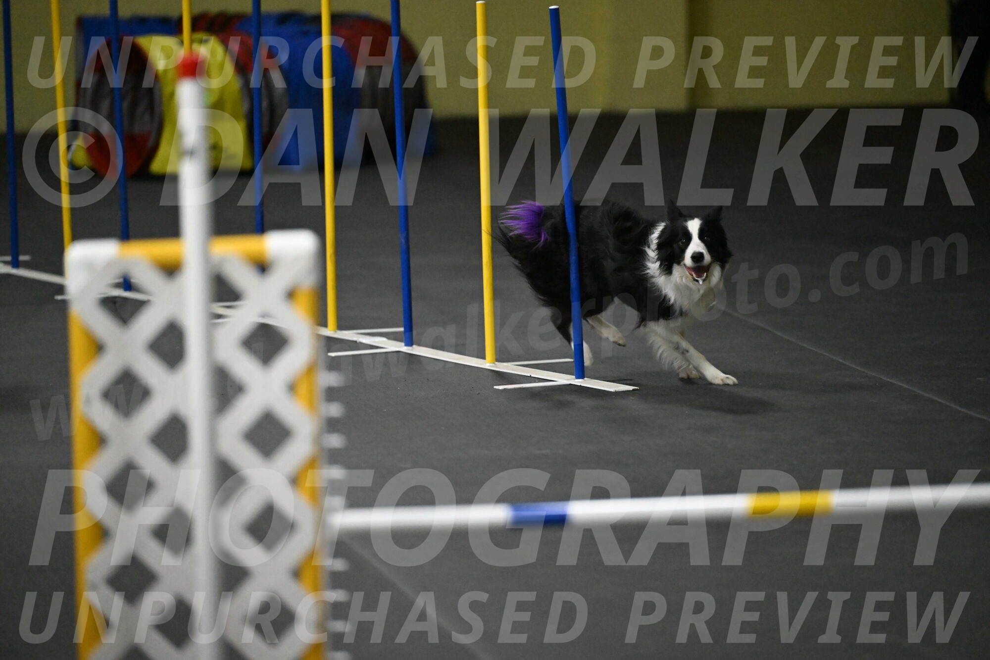 Annie-Solinger-02904