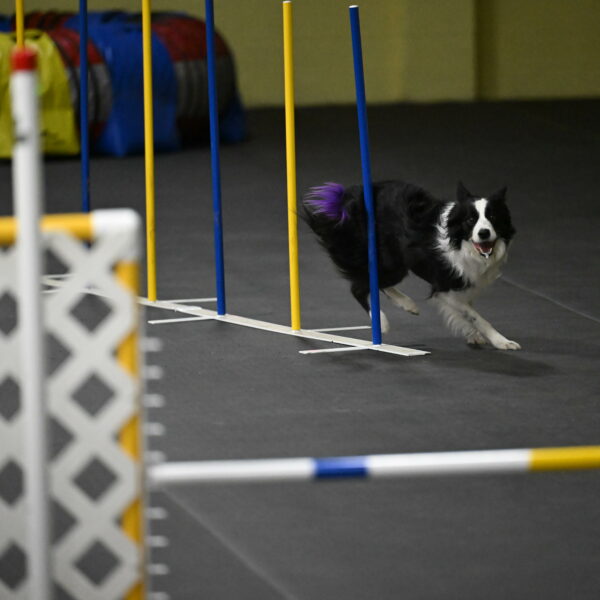 Annie-Solinger-02904