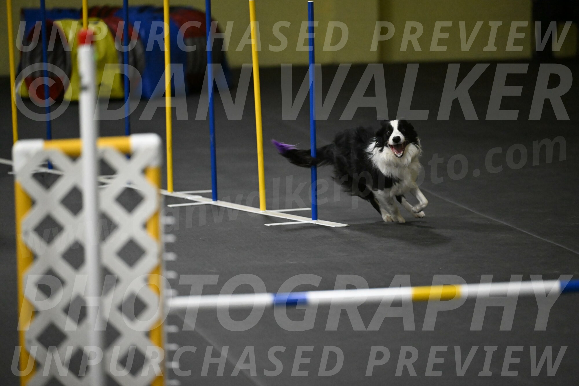 Annie-Solinger-02905