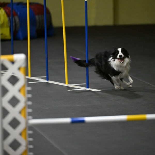 Annie-Solinger-02905