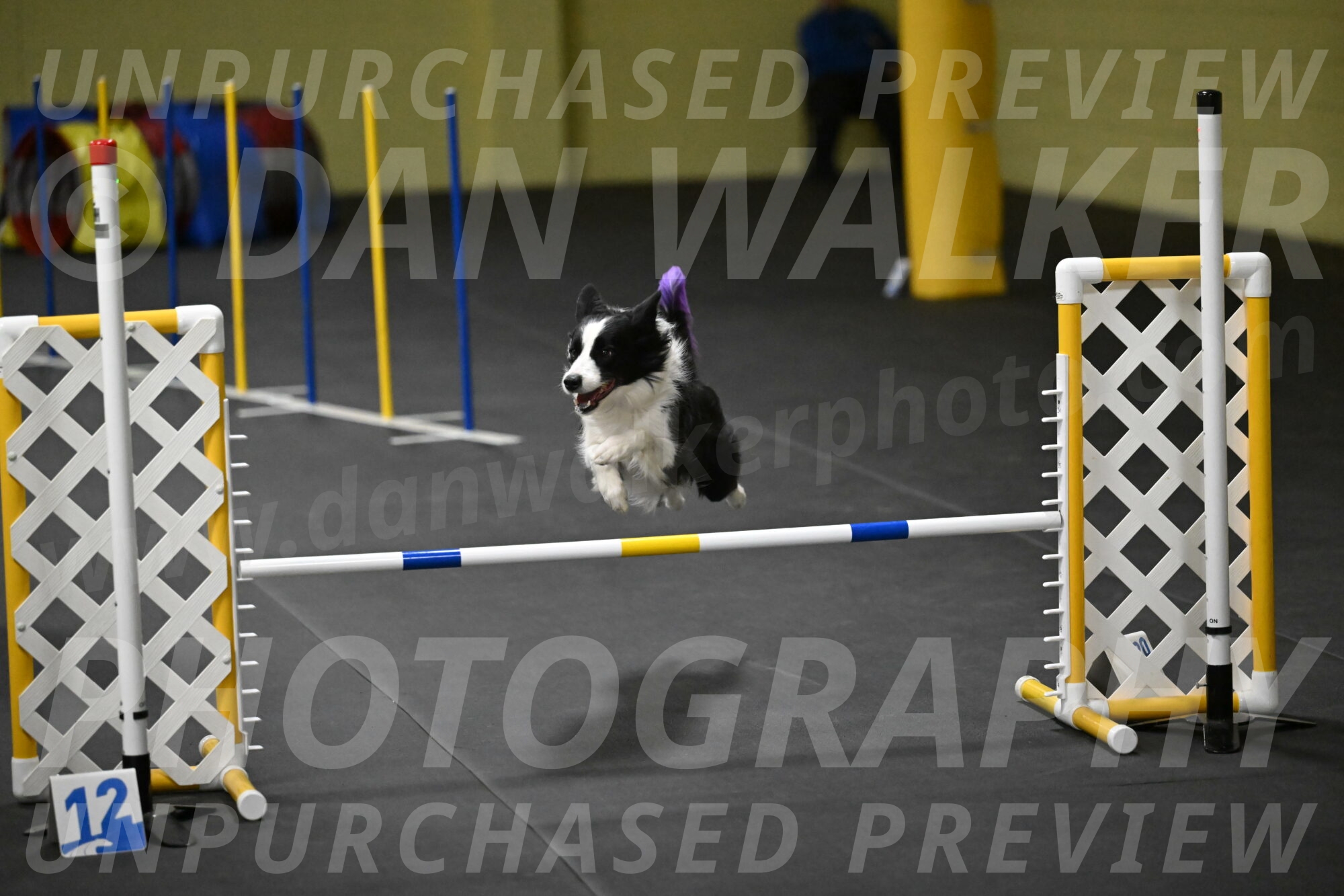 Annie-Solinger-02910