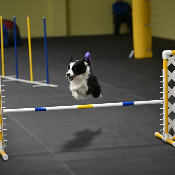 Annie-Solinger-02910