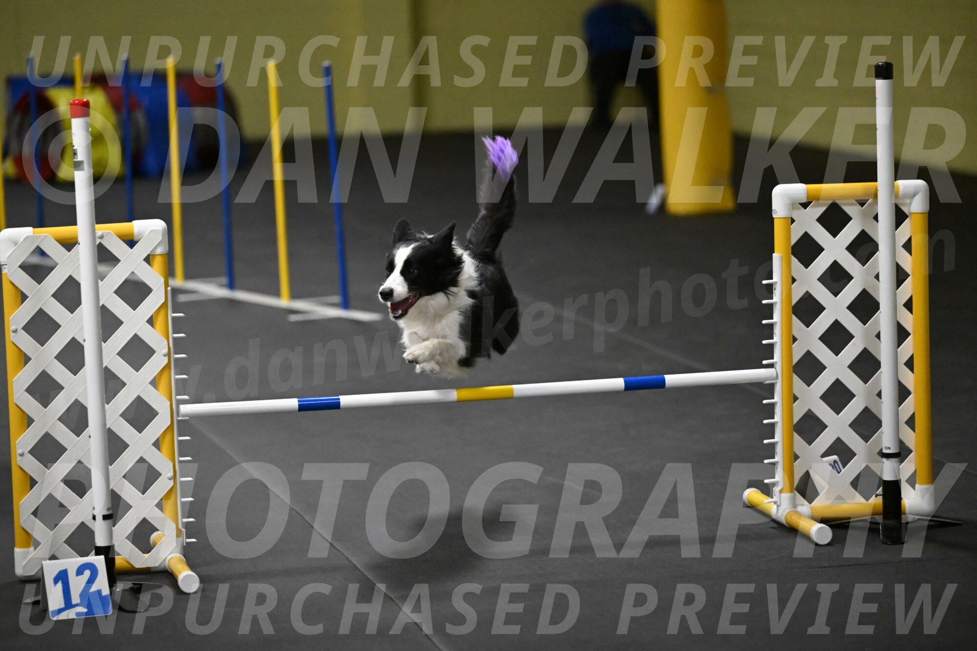 Annie-Solinger-02911