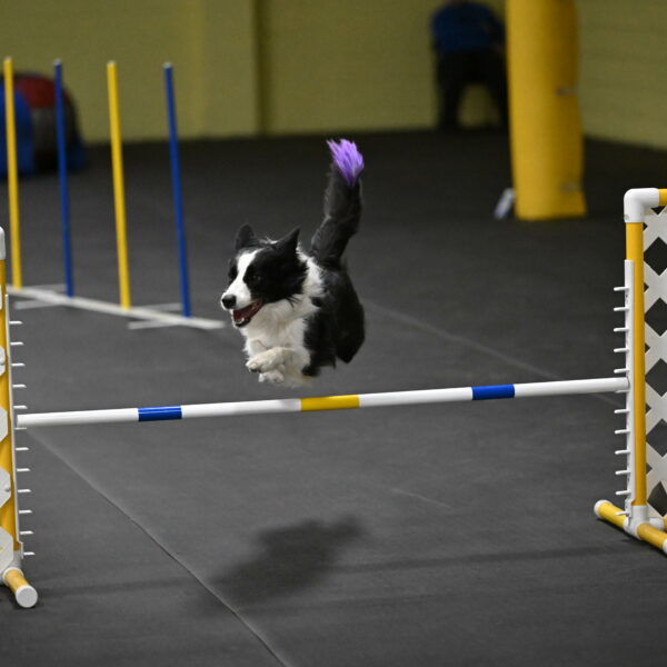 Annie-Solinger-02911