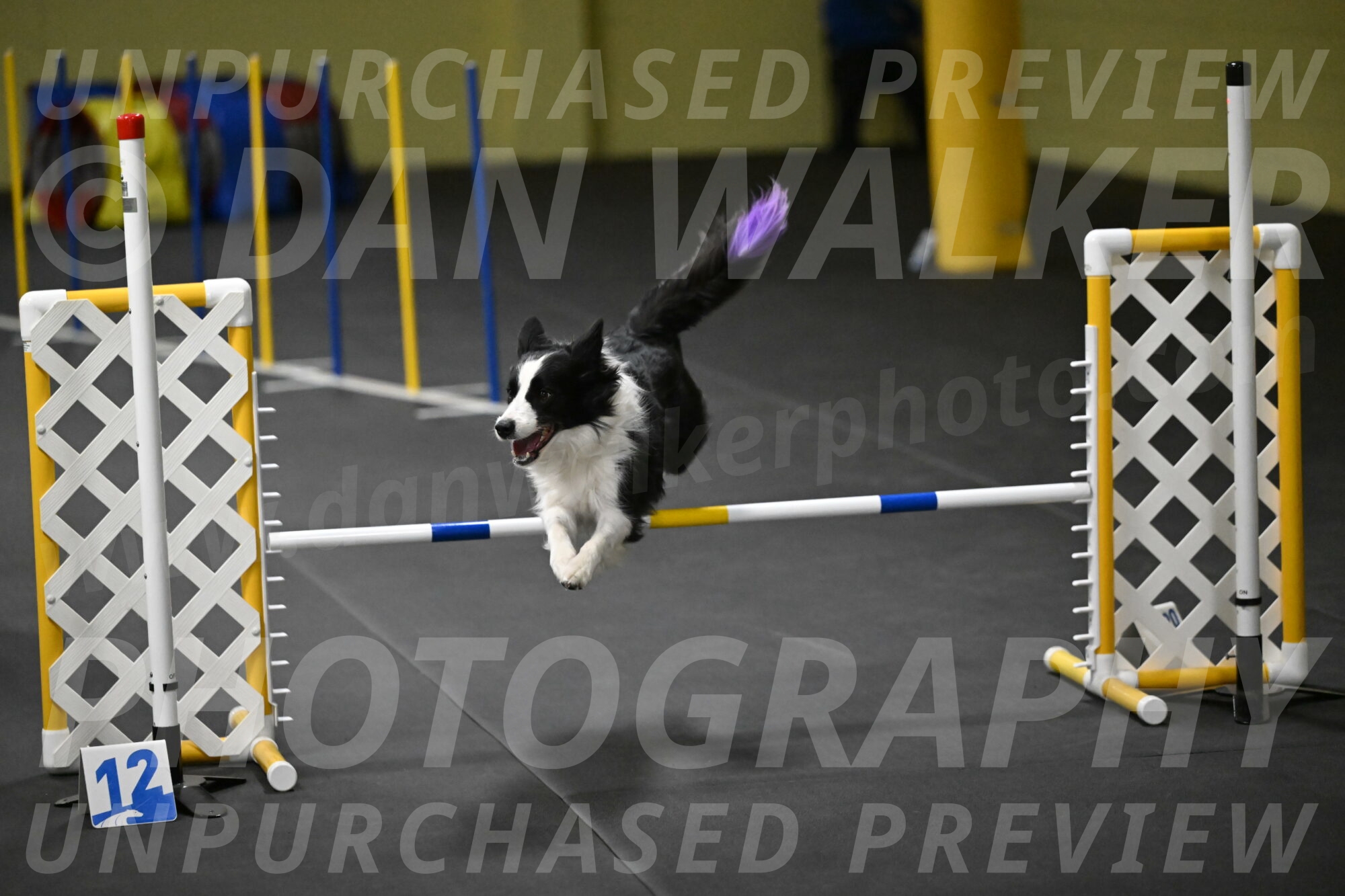 Annie-Solinger-02912