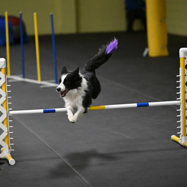 Annie-Solinger-02912