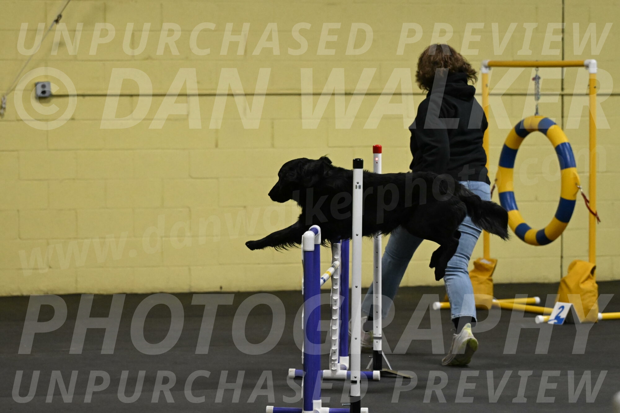 Apollo-Everhart-06783