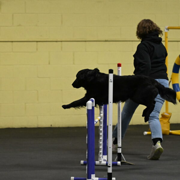 Apollo-Everhart-06783