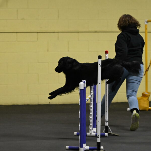 Apollo-Everhart-06784