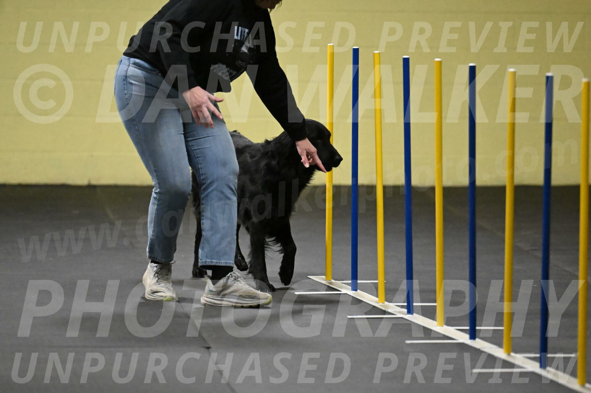 Apollo-Everhart-06787