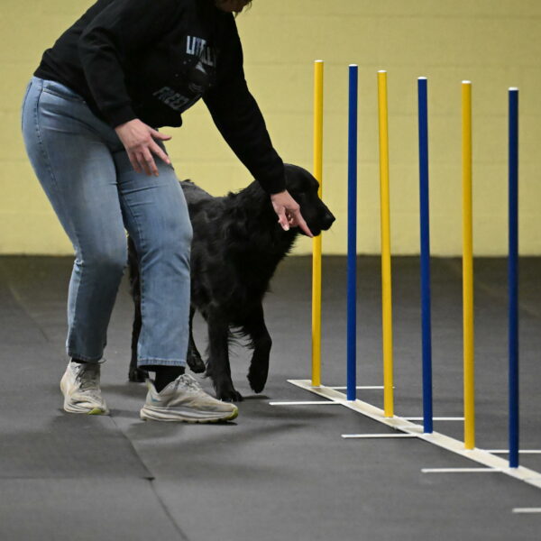 Apollo-Everhart-06787