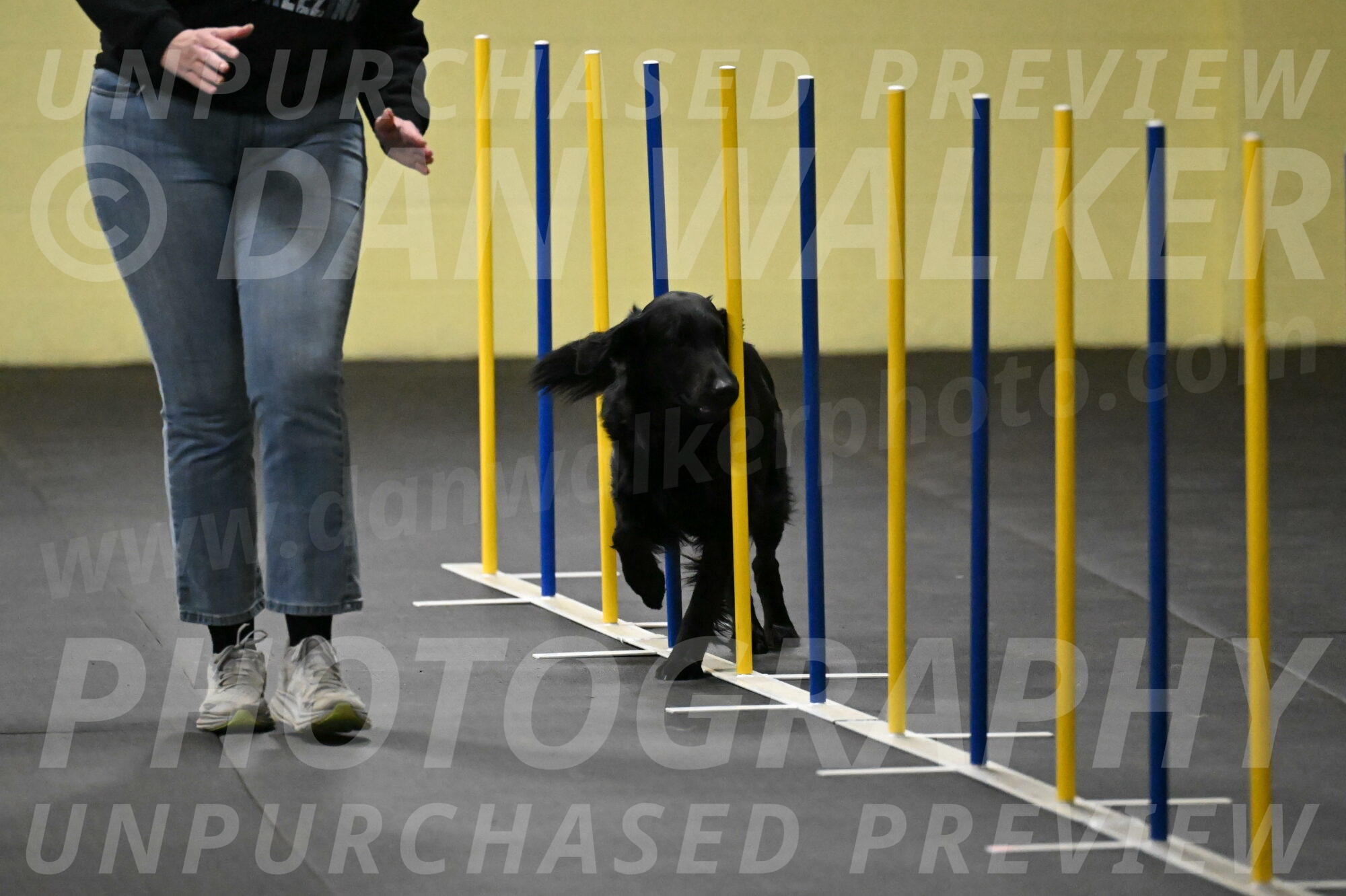 Apollo-Everhart-06796