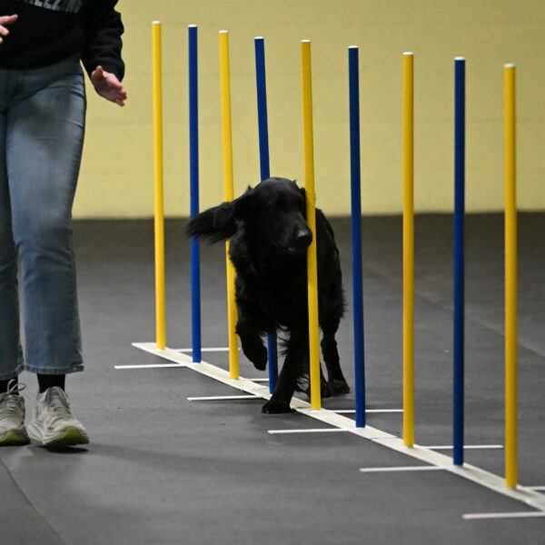 Apollo-Everhart-06796