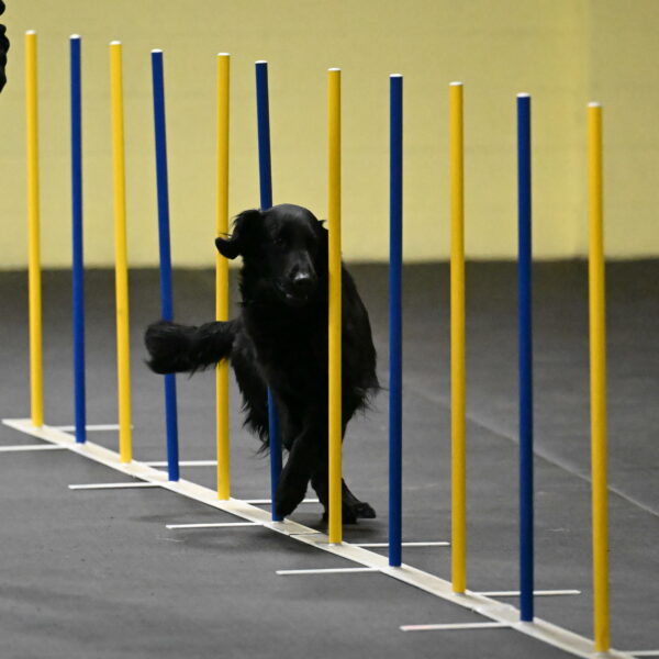 Apollo-Everhart-06804