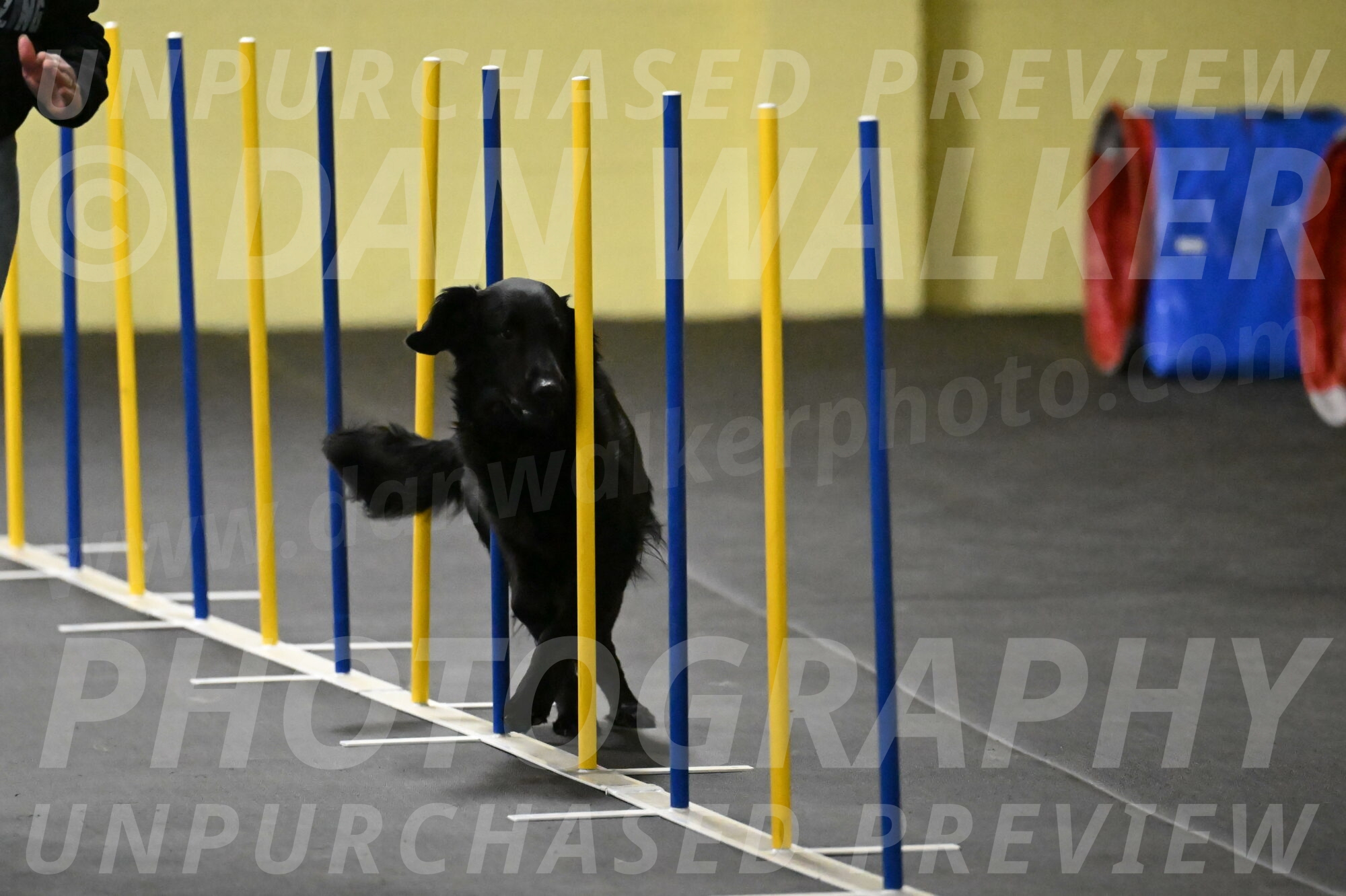 Apollo-Everhart-06812