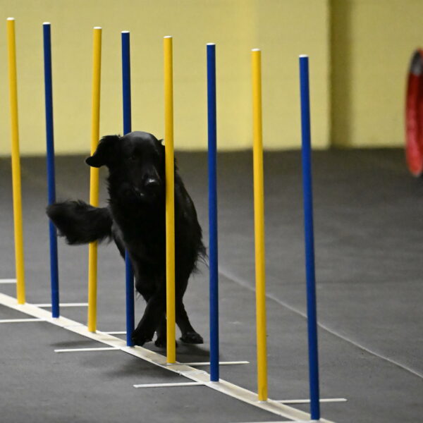 Apollo-Everhart-06812