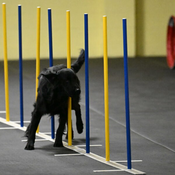 Apollo-Everhart-06813