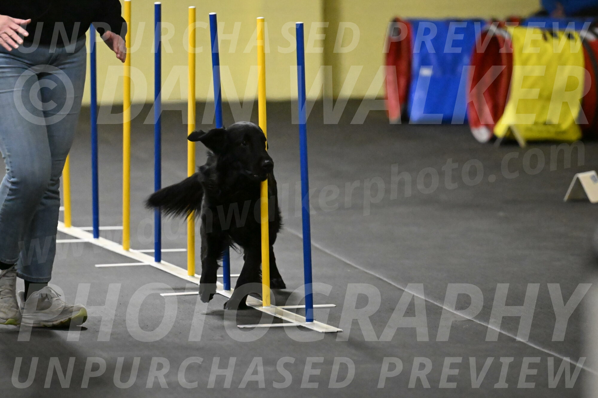 Apollo-Everhart-06820